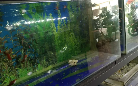 Suji Aquarium image