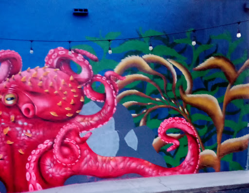 Supermarket «Live Oak Supermarket», reviews and photos, 1668 Capitola Rd, Santa Cruz, CA 95062, USA