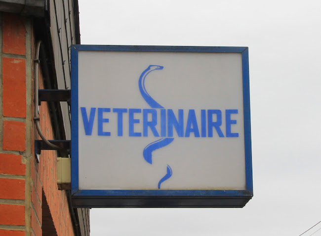 Vétérinaire de Haan Véronique: Sur rendez-vous, veuillez me contacter avant de venir. telefoonnummer
