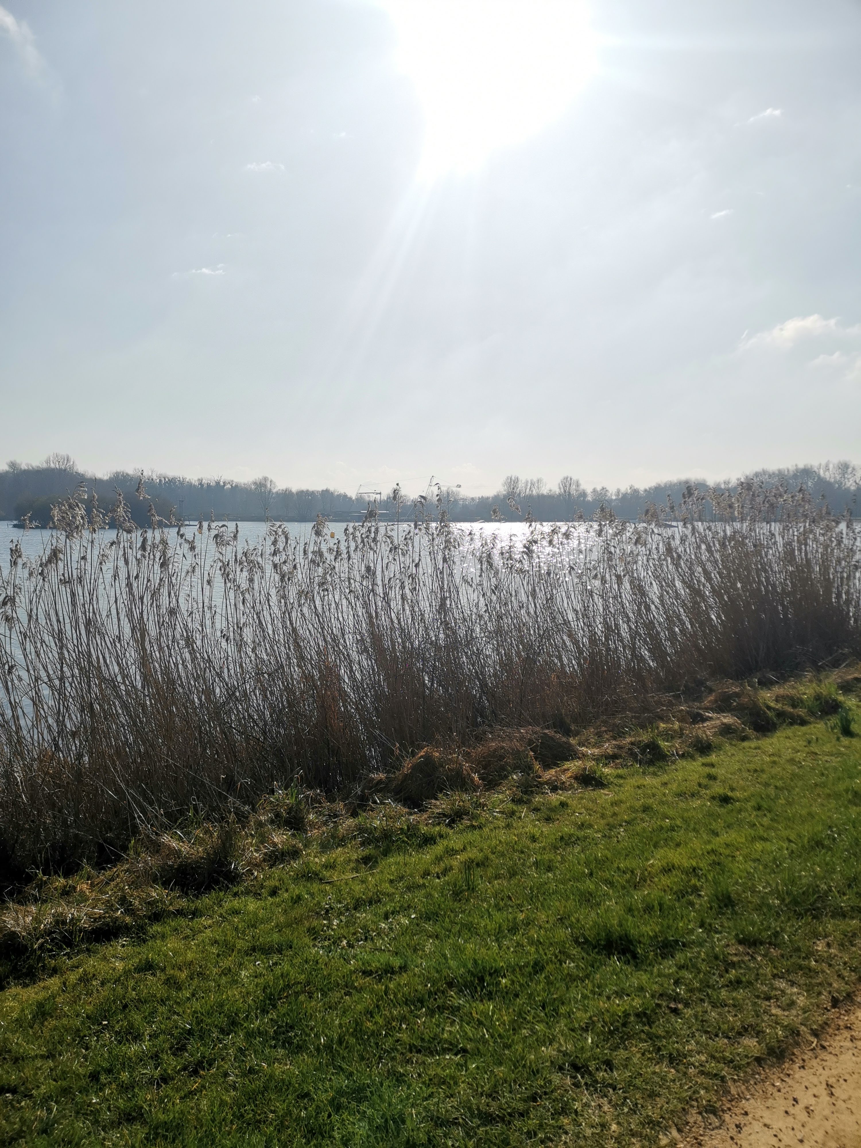 Photo n° 3 de l'avis de Picard.o fait le 13/06/2021 à 07:25
