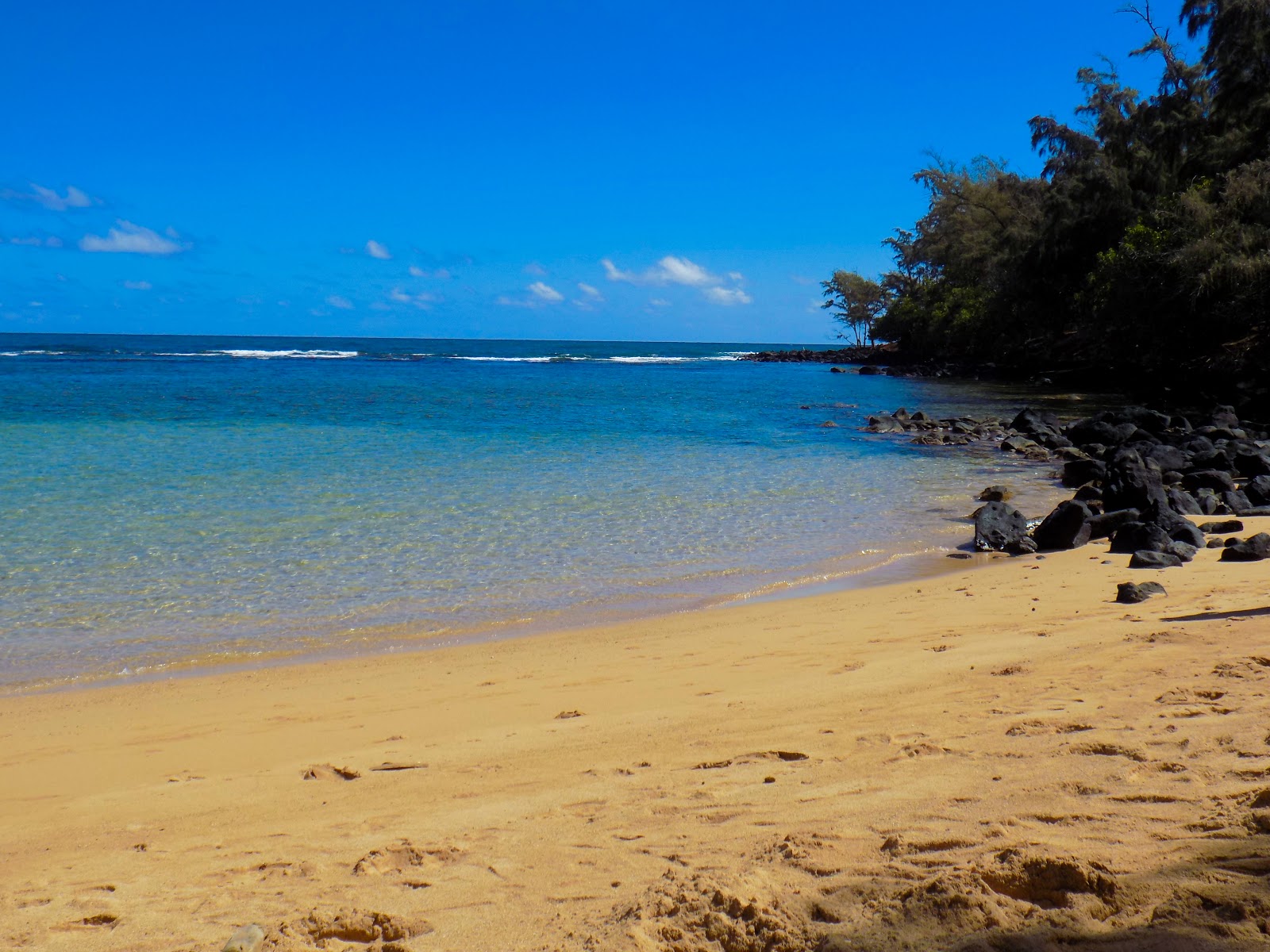 Anahola Beach II的照片 位于自然区域