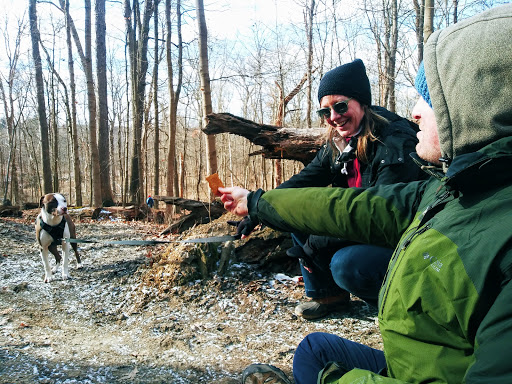 Tourist Attraction «Brandywine Gorge Trail», reviews and photos, 8176 Brandywine Rd, Sagamore Hills, OH 44067, USA