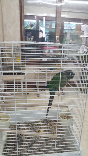 General Store «Pick & Shovel», reviews and photos, 54 Coventry St, Newport, VT 05855, USA