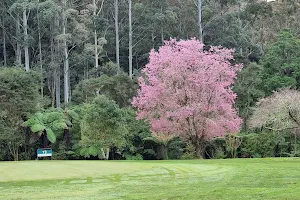 Mercury Bay Golf Club image