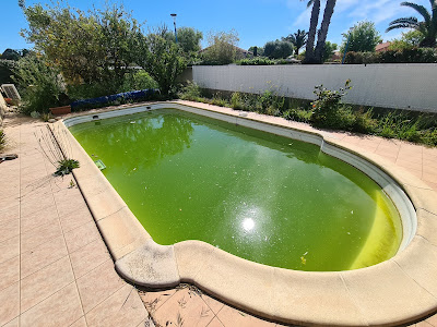 A l'Eau Piscines à Saint-Cyprien