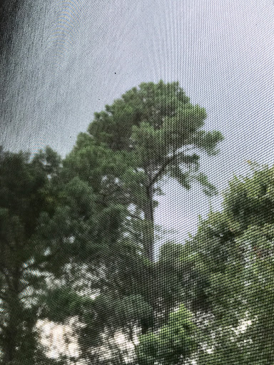 Golf Club «True Blue Golf Plantation», reviews and photos, 900 Blue Stem Dr, Pawleys Island, SC 29585, USA