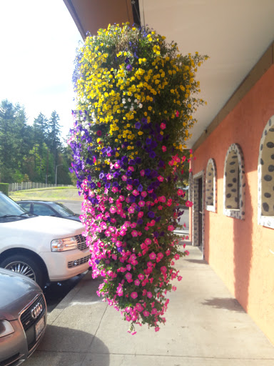 Grocery Store «Albertsons», reviews and photos, 11012 Canyon Rd E, Puyallup, WA 98373, USA