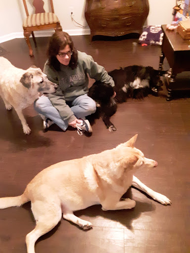 Pet Supply Store «Pet Supplies Plus», reviews and photos, 9500 Dorchester Rd #350, Summerville, SC 29485, USA