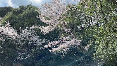 レイクパーク駐車場