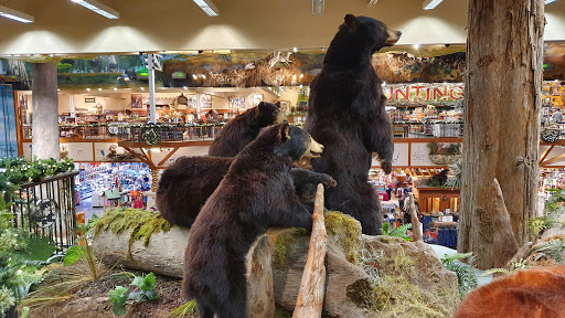 Shopping Mall «Gulf Coast Town Center», reviews and photos, 9903 Gulf Coast Main St, Fort Myers, FL 33913, USA