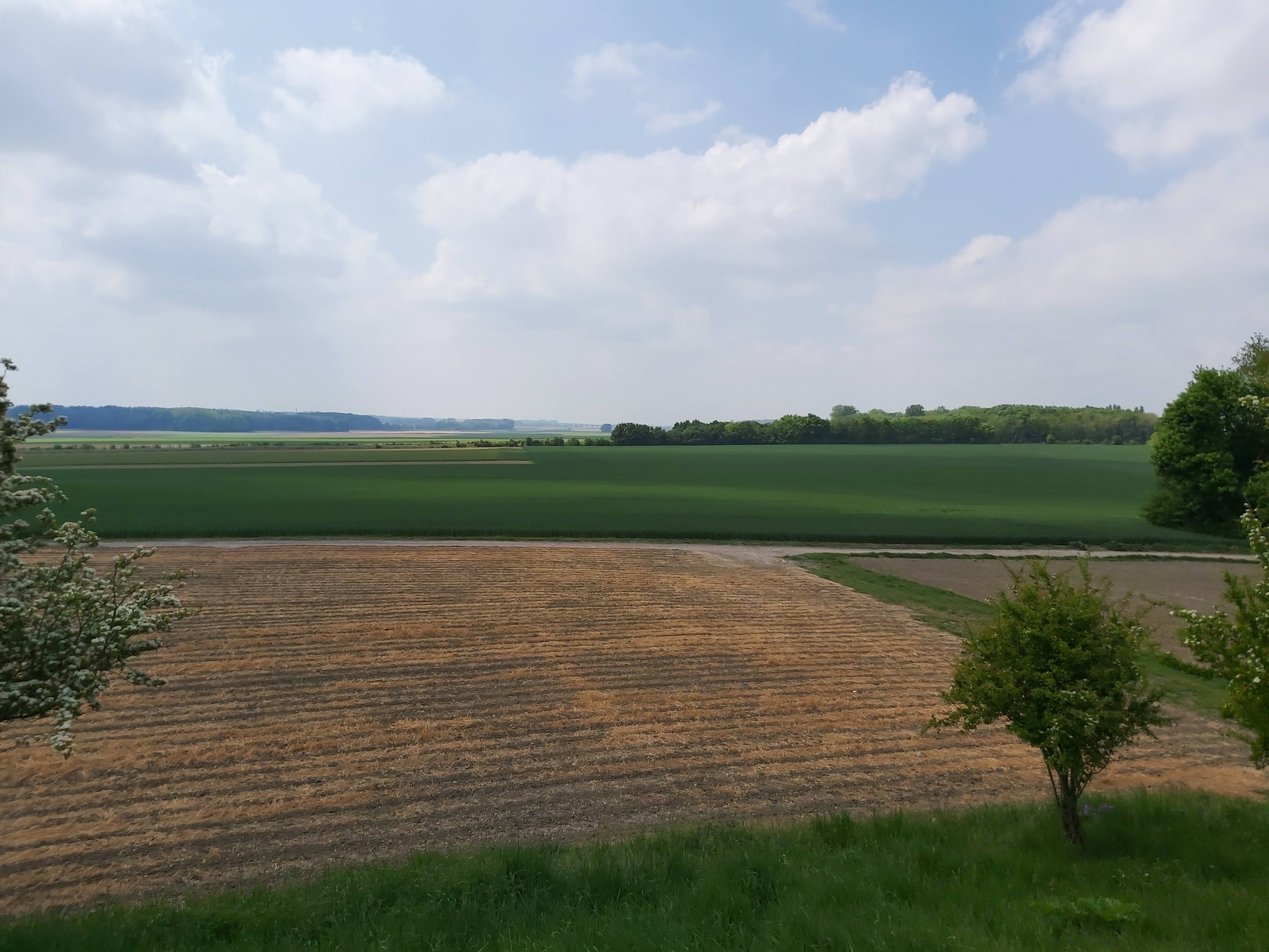 Photo n° 5 de l'avis de Gregory.e fait le 19/05/2022 à 15:31
