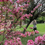 Photo n°5 de l'avis de Cotty.l fait le 14/05/2021 à 20:27 sur le  Caffetteria Ristoro Schifanoia à Ferrara