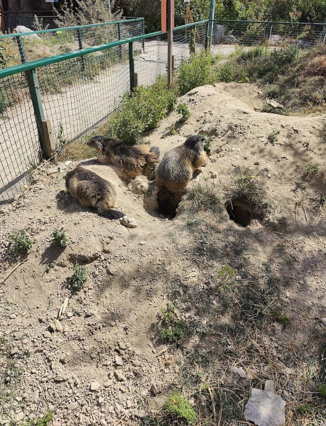 Photo n° 3 de l'avis de Margaux.i fait le 18/10/2023 à 20:53