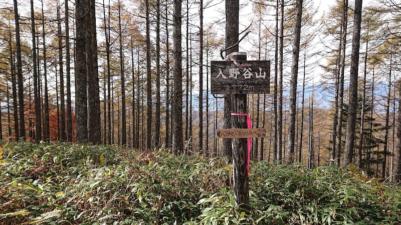 入野谷山