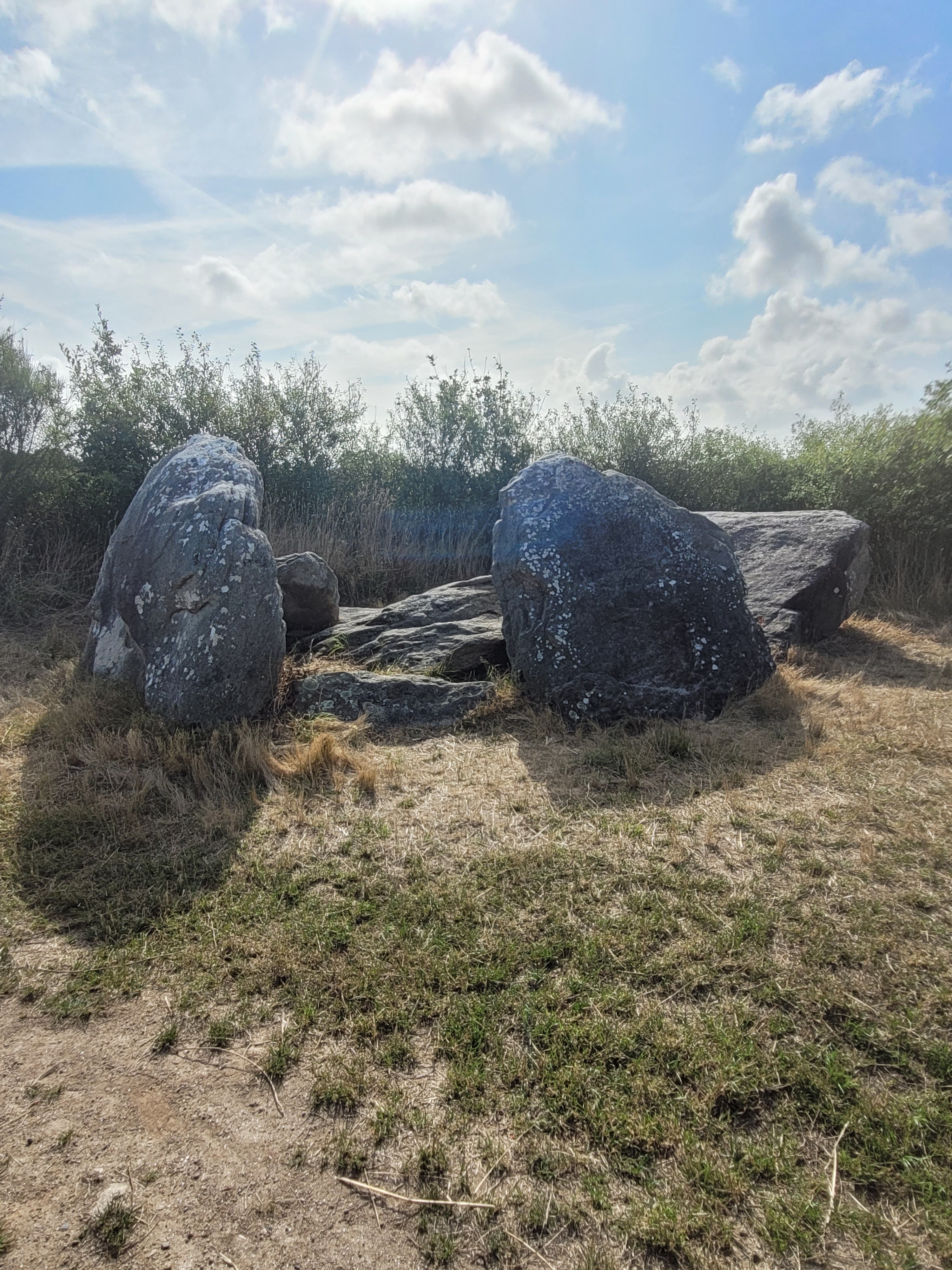 Photo n° 3 de l'avis de Laëtitia.a fait le 30/07/2023 à 09:25