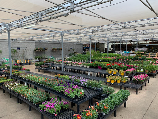 Department Store «Walmart Supercenter», reviews and photos, 9451 FM 1960 Bypass Rd E, Humble, TX 77338, USA