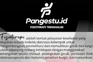 Pangestu.id Fisioterapi Trenggalek (Gesang Gede Pangestu, S.Ftr., Ftr., AIFO) image