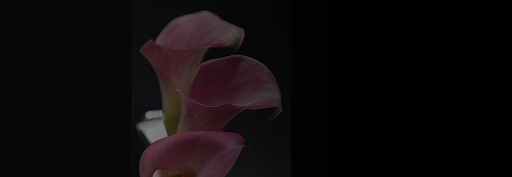 Florist «Hartland Flowers Inc», reviews and photos, 10044 Highland Rd, Hartland, MI 48353, USA