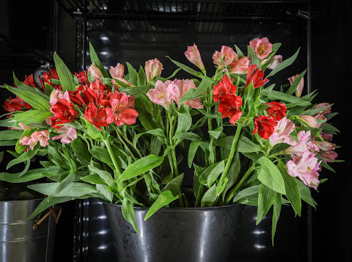 Florist «Donnelly Floral and Event Design», reviews and photos, 111 Sacramento St, Rio Vista, CA 94571, USA