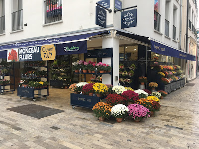 Monceau Fleurs à Orléans