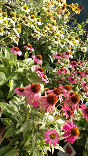 Garden Center «Agriventures Agway», reviews and photos, 126 Housatonic Ave, New Milford, CT 06776, USA