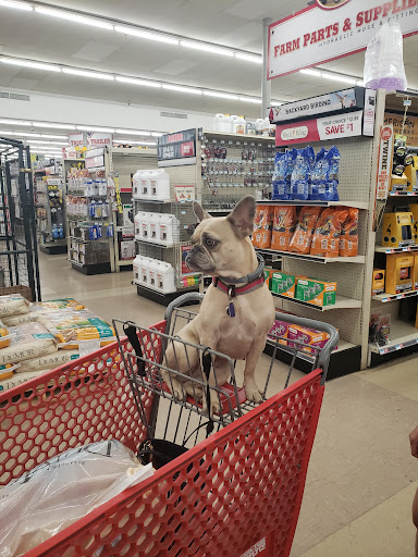 Home Improvement Store «Tractor Supply Co.», reviews and photos, 1 Baldwin Blvd STE 23, Shamokin Dam, PA 17876, USA