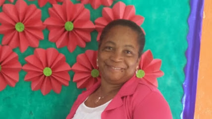 M&F Limpeza Vila Princesa Isabel São Paulo SP