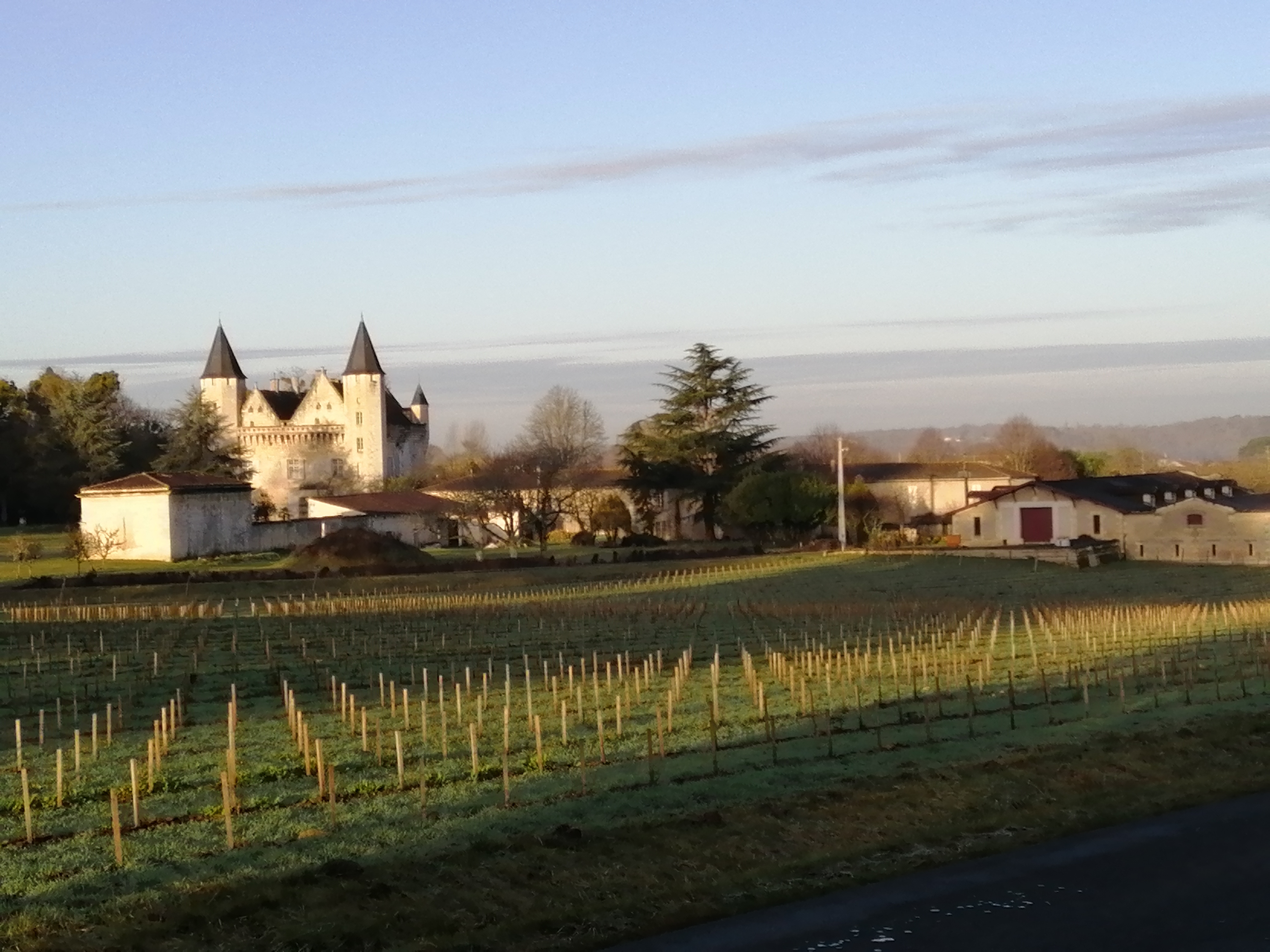 Photo n° 1 de l'avis de gilbert.a fait le 02/02/2022 à 12:27