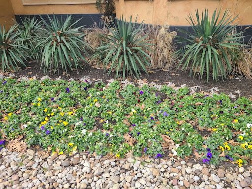 Restaurant «The Cheesecake Factory», reviews and photos, 820 Central Expy S, Allen, TX 75013, USA