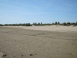 Foto van Spiaggia di Ca' Vio met recht en lang