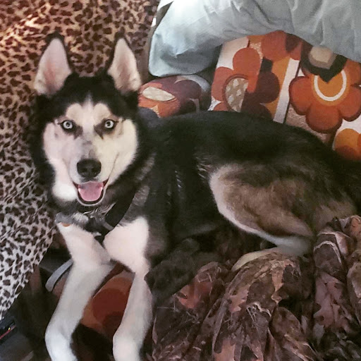 Pet Store «Pet Ponderosa», reviews and photos, 9211 204th St E, Graham, WA 98338, USA