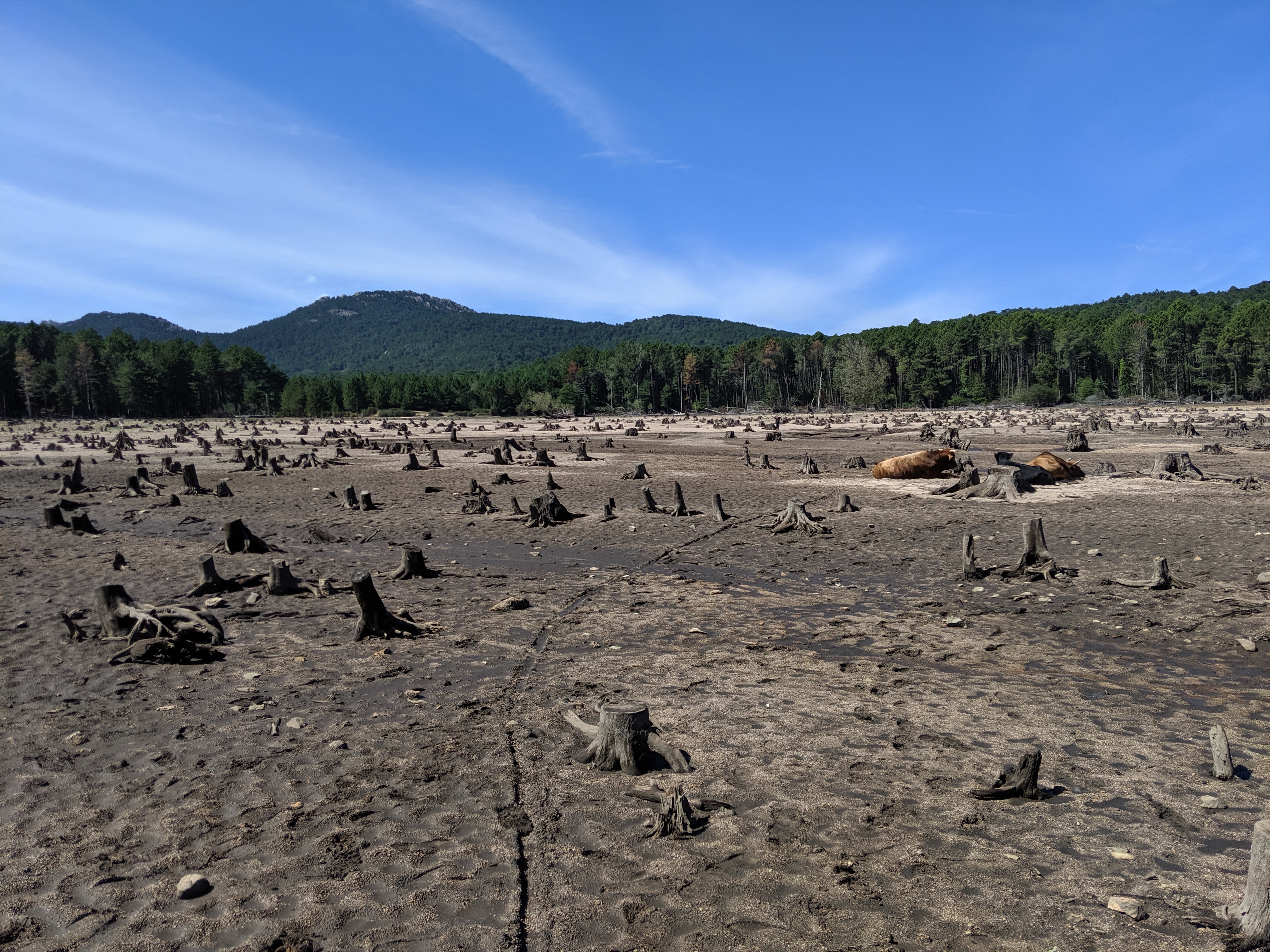 Photo n° 2 de l'avis de Vincent.e fait le 13/09/2019 à 16:52