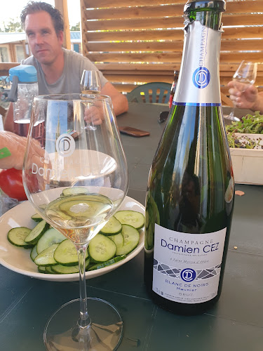 Champagne Damien CEZ à Saint-Martin-d'Ablois