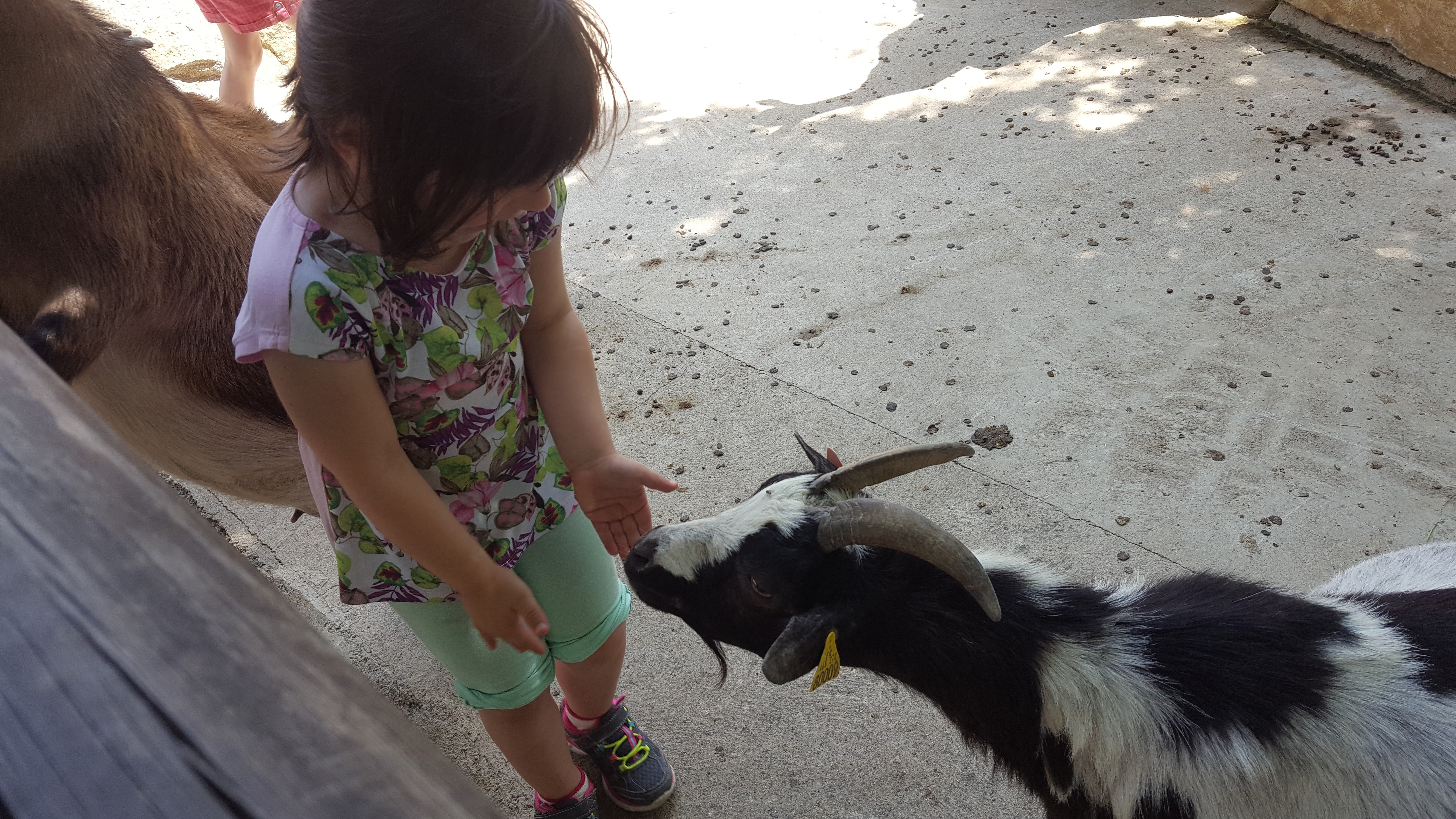 Photo n° 7 de l'avis de Sandra.o fait le 15/06/2017 à 07:55