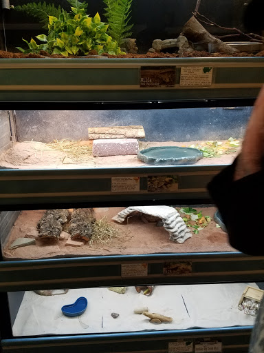 Zoo «Brevard Zoo», reviews and photos, 8225 N Wickham Rd, Melbourne, FL 32940, USA