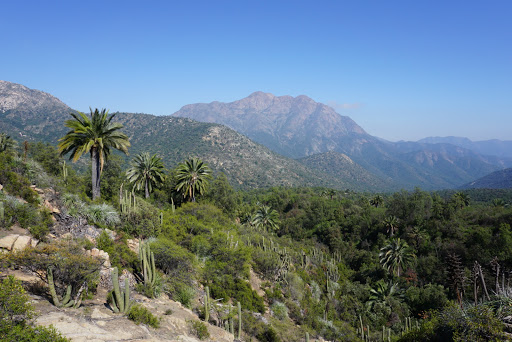La Campana National Park
