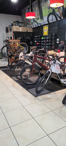 Bicycle shops and workshops in Miami