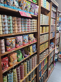 Dogma Dog Bakery - Clarendon - Photo 6 - Car repair in Arlington, VA, Washington