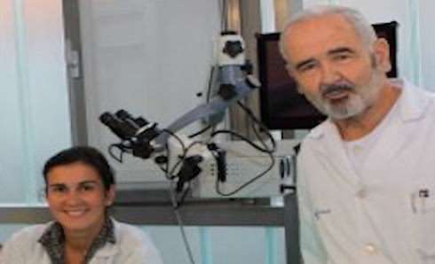 Del propietario