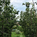 Photo n°7 de l'avis de Arvind. fait le 21/07/2018 à 13:13 sur le  La Beccaccia Az. Agr. Agrituristica Di Serughetti à Grumello del Monte