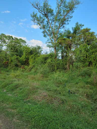 Nature Preserve «McAllen Nature Center», reviews and photos, 4101 U.S. 83 Business, McAllen, TX 78501, USA