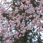 Photo n°10 de l'avis de Helena.u fait le 20/03/2020 à 09:09 sur le  Landhaus Schulze Osthoff - Warendorf à Warendorf