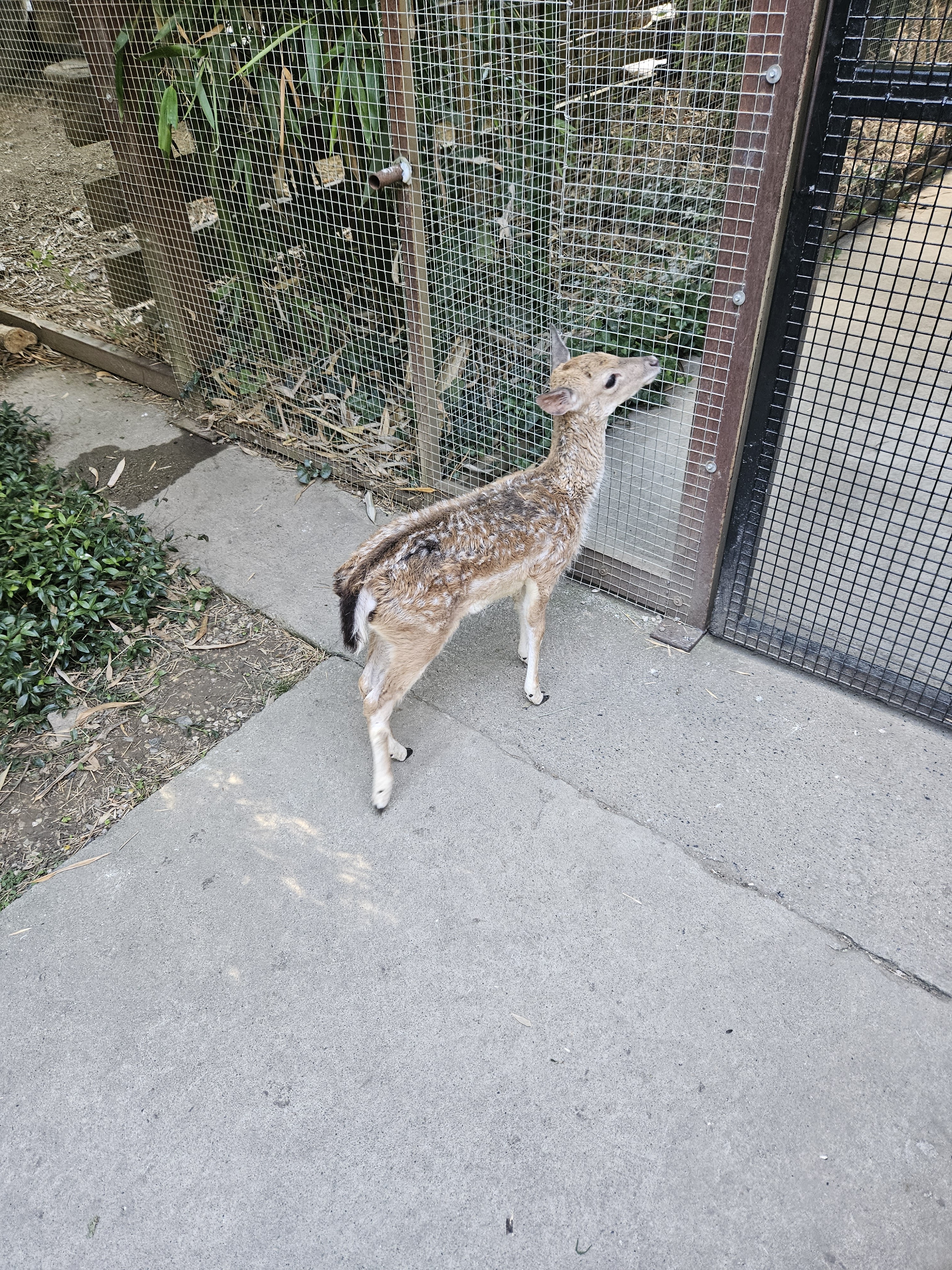 Photo n° 3 de l'avis de Christian.o fait le 01/08/2023 à 19:28