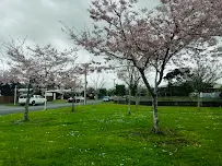 The Legal Stuff - Car repair in Hamilton, New Zealand, St. Cloud - Rated 5.0/5