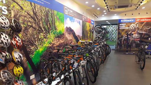 Giant Starkenn Cycling World New Delhi