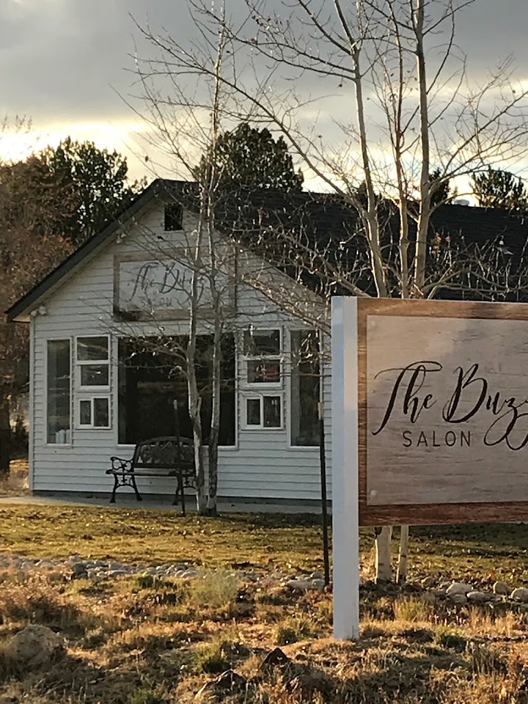 The Buzz Salon Spring Creek NV 89815