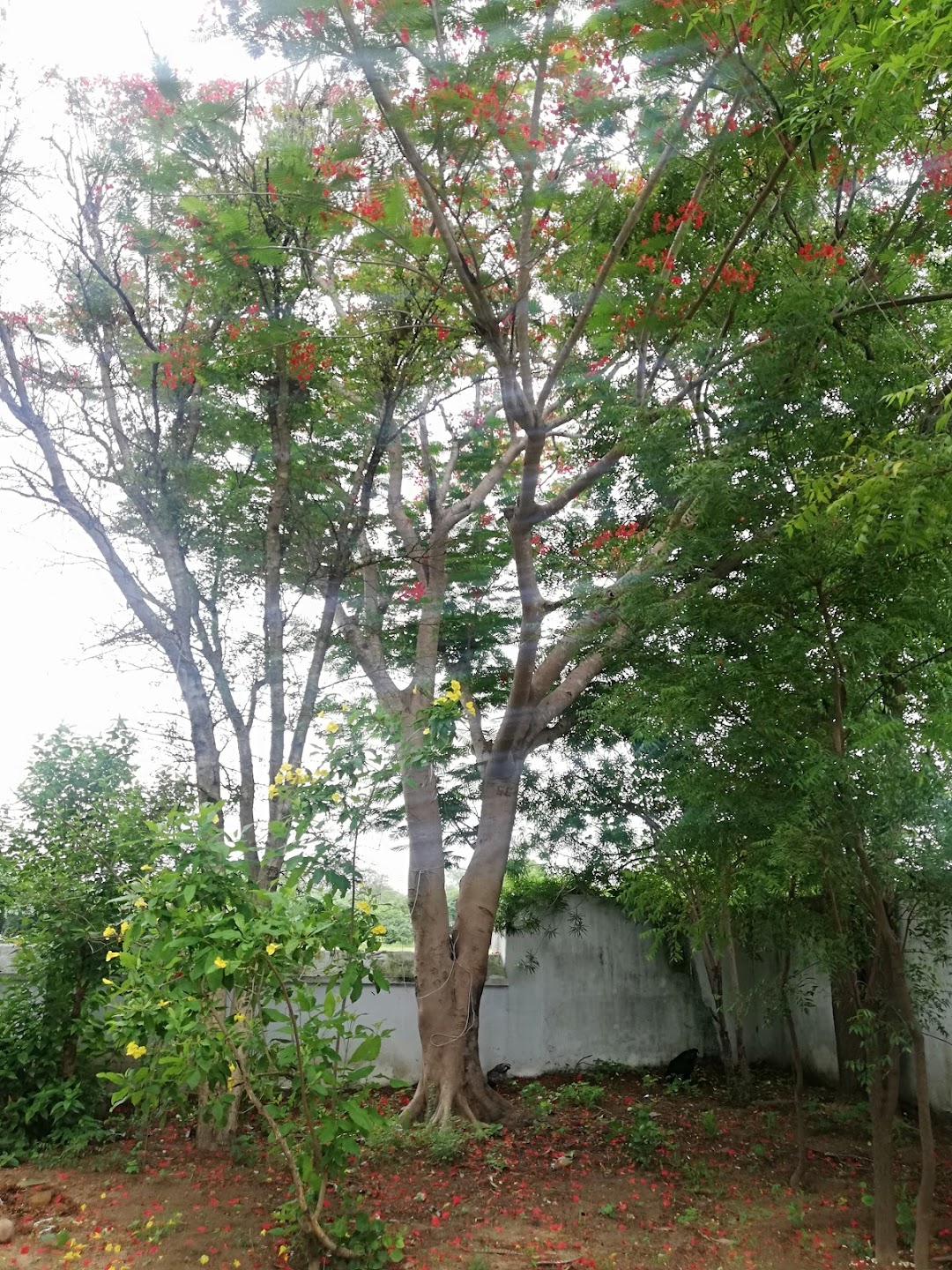 Shri Agatheeswar temple
