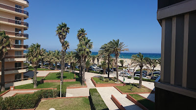 Bergère d'Azur à Canet-en-Roussillon