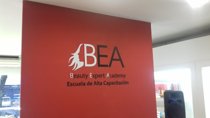 Beauty Expert Academy (Academia De Schwarzkopf)