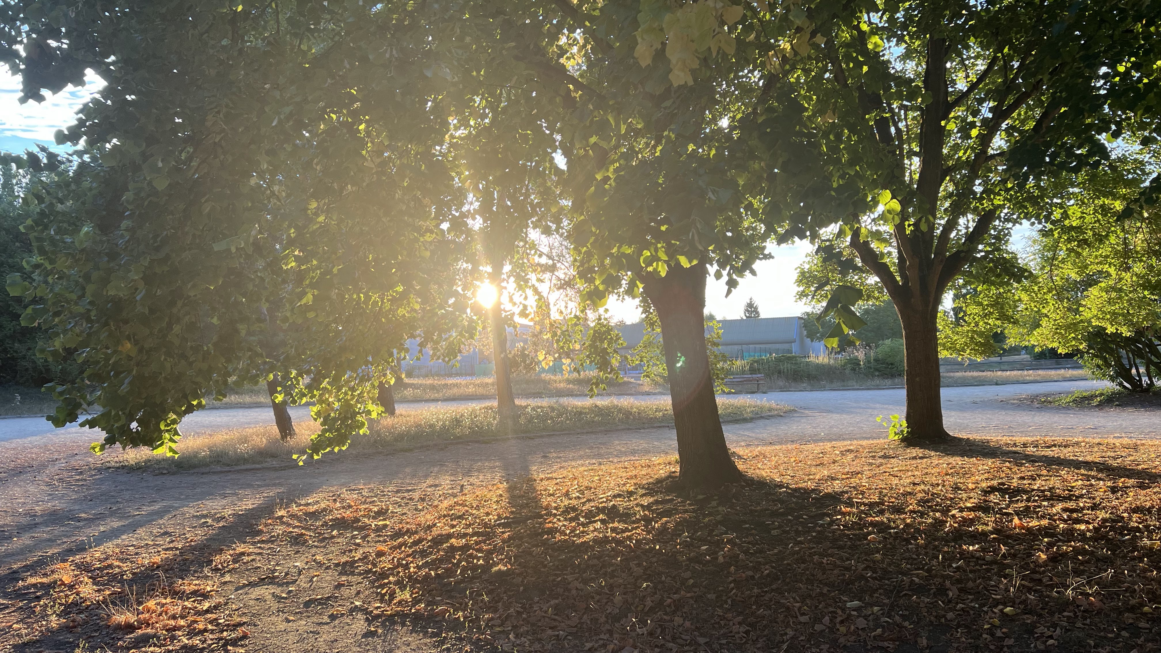 Photo n° 4 de l'avis de Franck.o fait le 03/08/2018 à 14:09